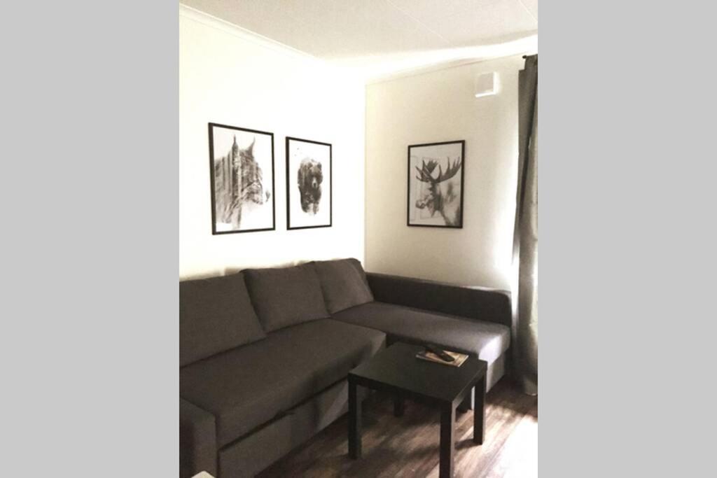 Apartament Bograngen Lgh C Brograngen Zewnętrze zdjęcie
